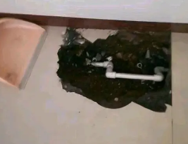 武安卫生间测漏水多少钱